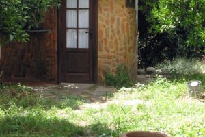 molino0004